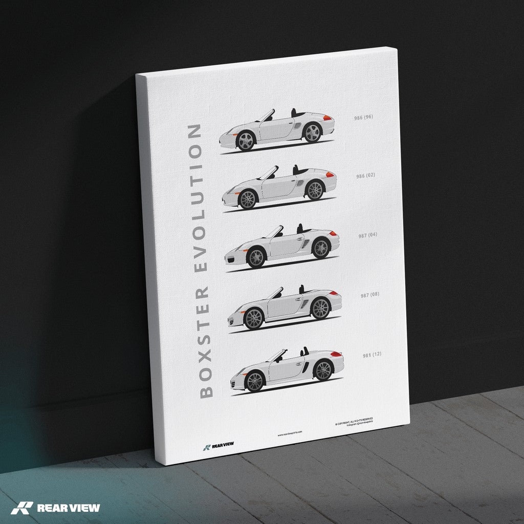 Boxster - Car Art Print